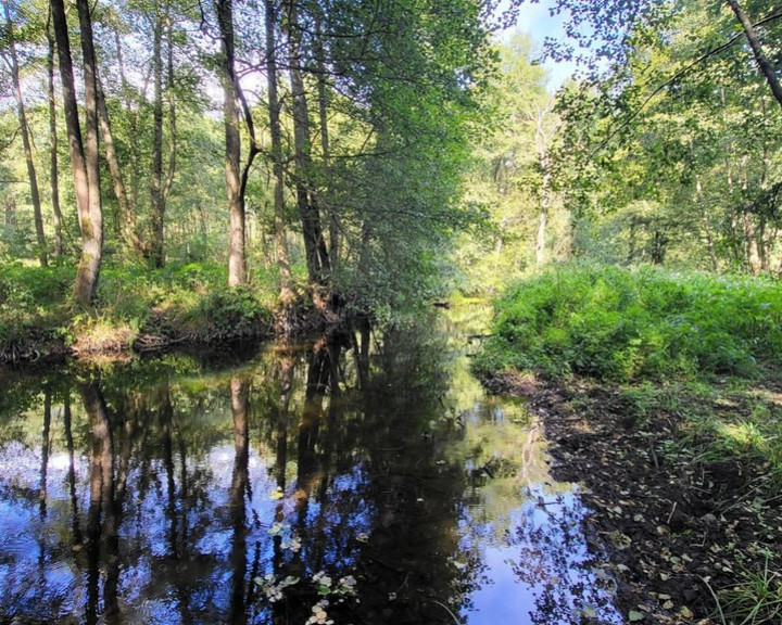 Działka Sprzedaż Staw