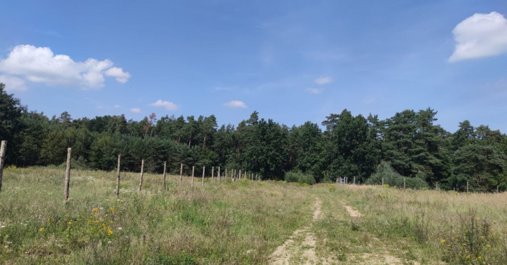 Działka Sprzedaż Kościno 4