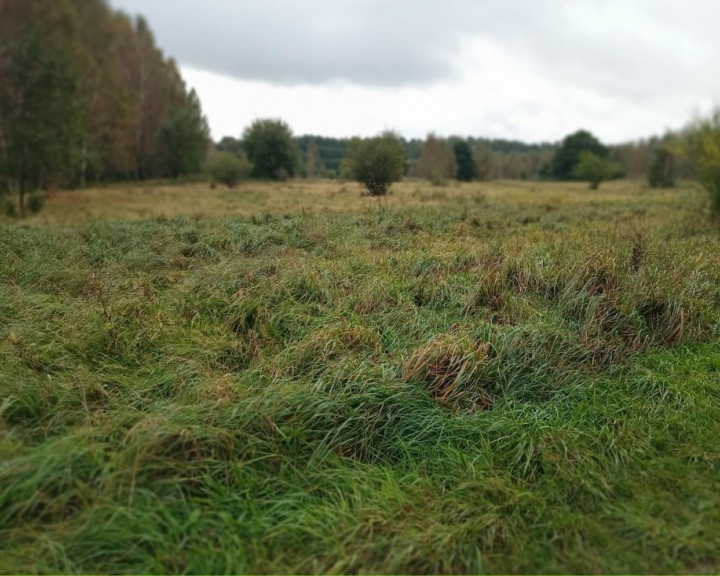 Działka Sprzedaż Stary Kraków