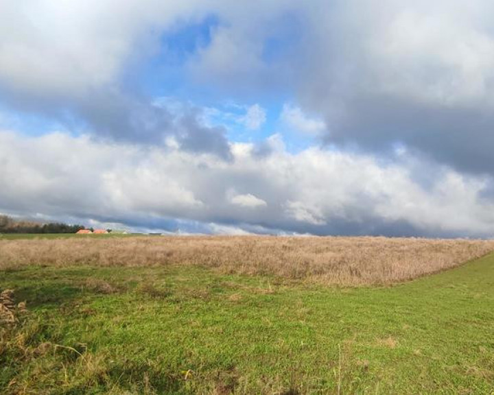 Działka Sprzedaż Goleniów