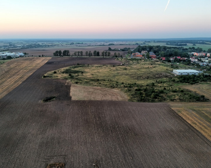 Działka Sprzedaż Skarbimierzyce