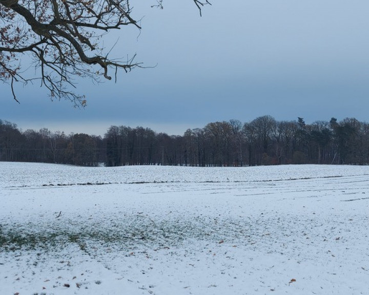 Działka Sprzedaż Budzieszowce