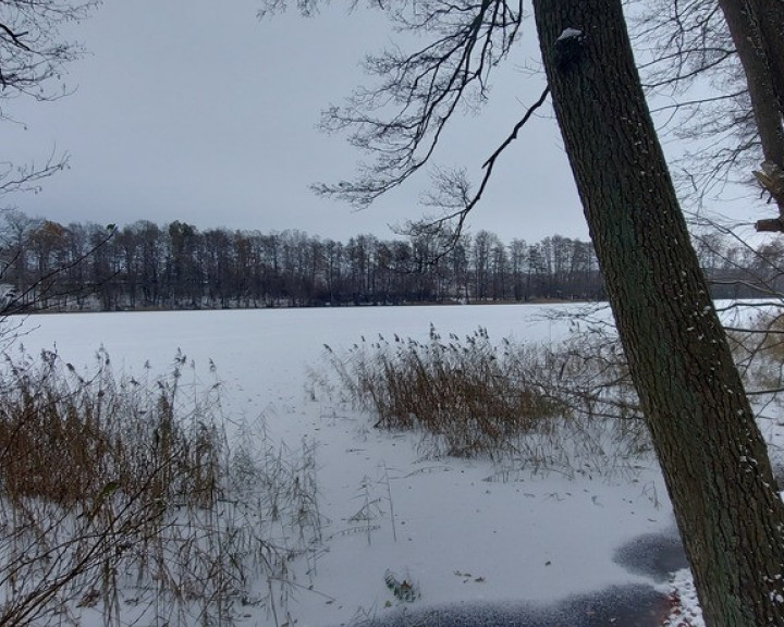 Działka Sprzedaż Budzieszowce