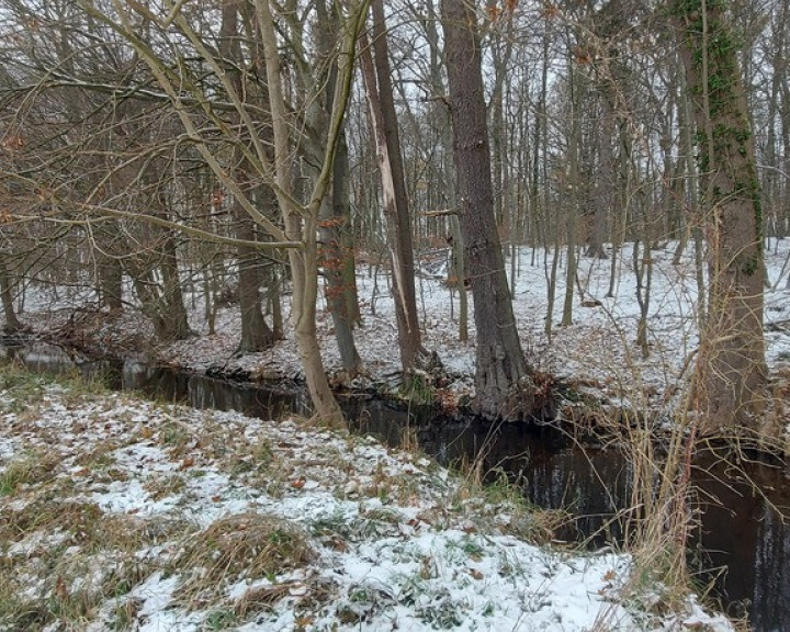 Działka Sprzedaż Budzieszowce