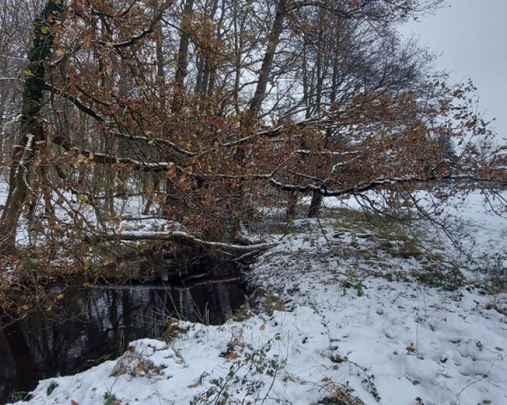 Działka Sprzedaż Budzieszowce