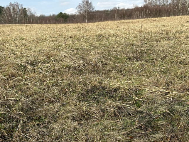 Działka Sprzedaż Storkowo 6