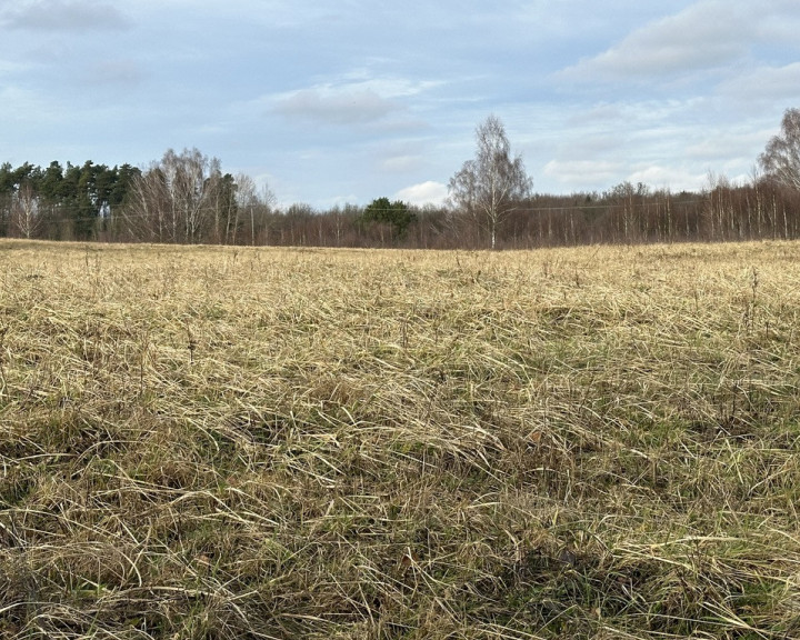 Działka Sprzedaż Storkowo