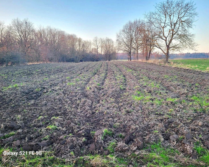 Działka Sprzedaż Górzyca