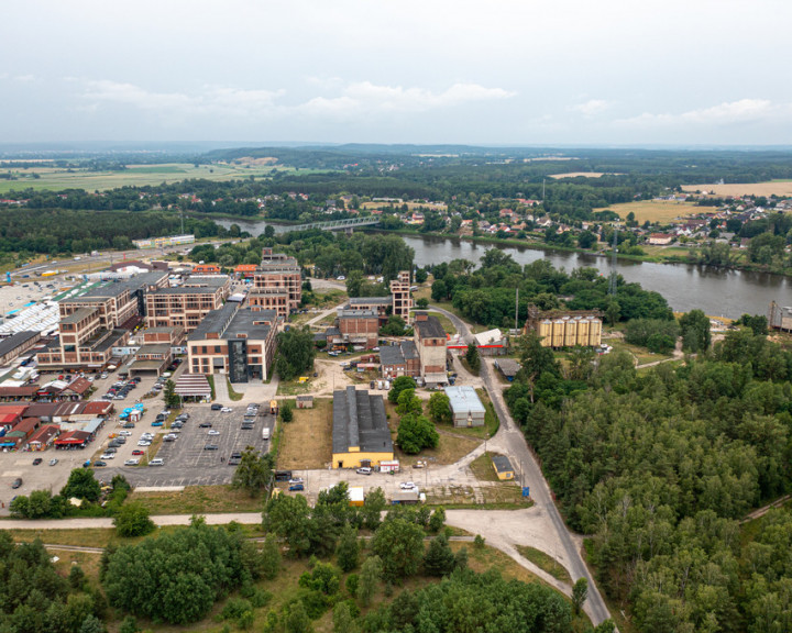 Obiekt Sprzedaż Osinów Dolny