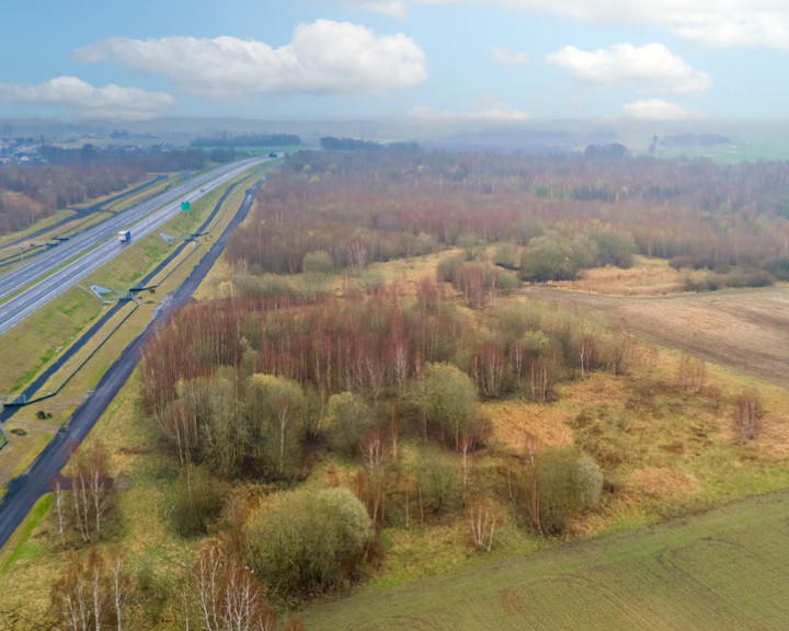 Działka Sprzedaż Stare Bielice