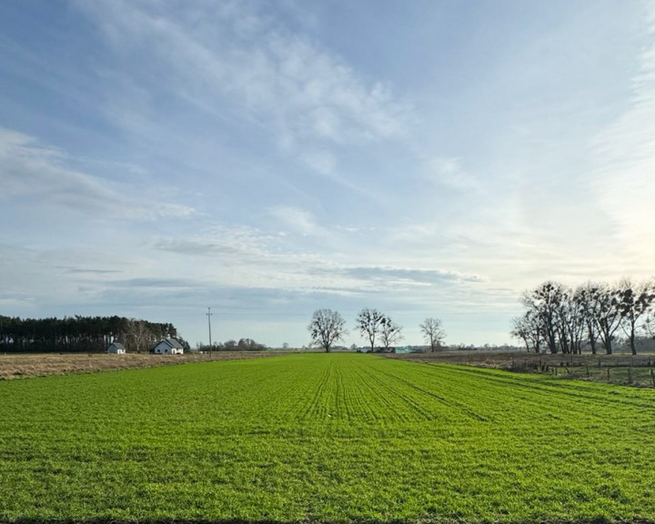 Działka Sprzedaż Borzysławiec