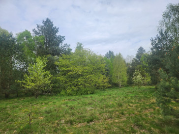 Działka Sprzedaż Tanowo Brzozowa
