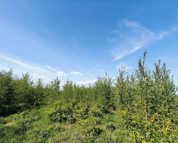 Działka Sprzedaż Goleniów