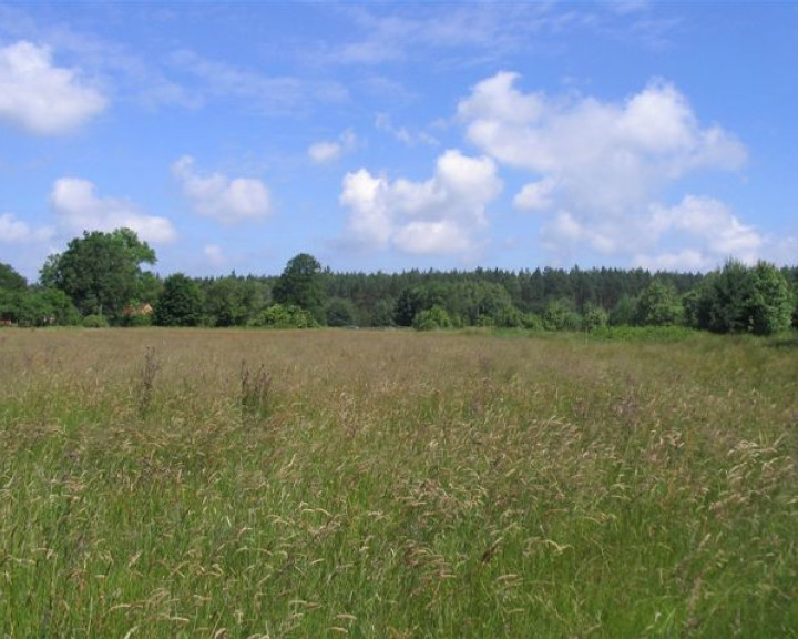 Działka Sprzedaż Kodrąbek