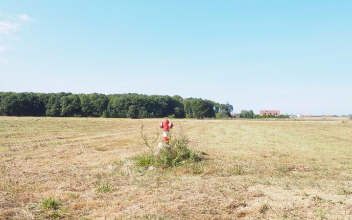 Działka Sprzedaż Śliwin