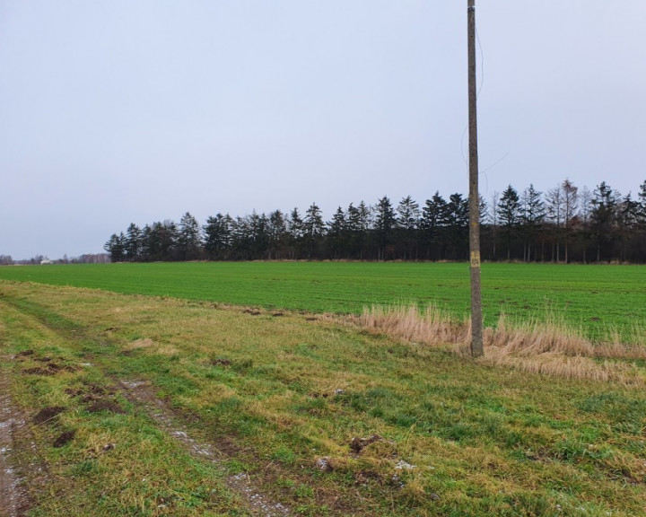 Działka Sprzedaż Kukułowo