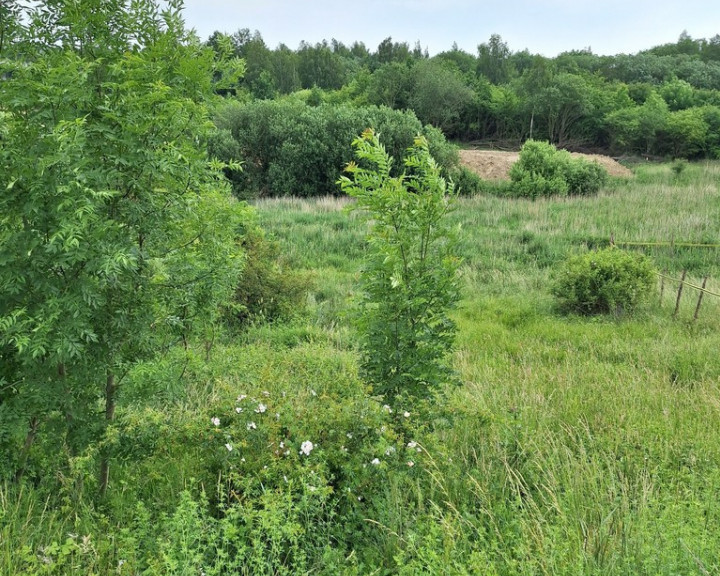 Działka Sprzedaż Szczecin Bukowo