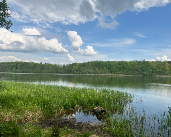 Działka Sprzedaż Stara Dobrzyca