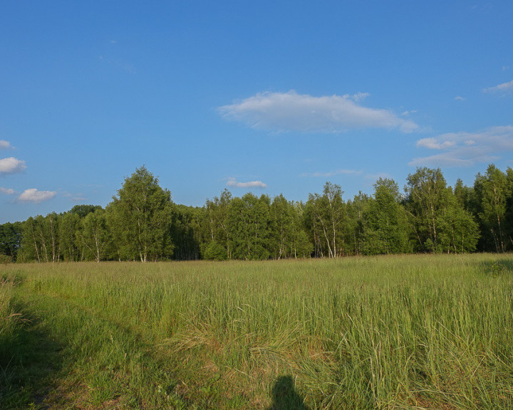 Działka Sprzedaż Grzepnica