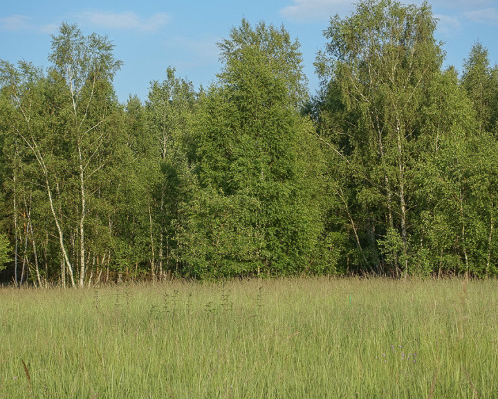 Działka Sprzedaż Grzepnica