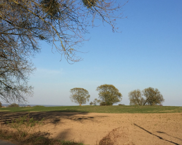 Działka Sprzedaż Szczecin Skolwin