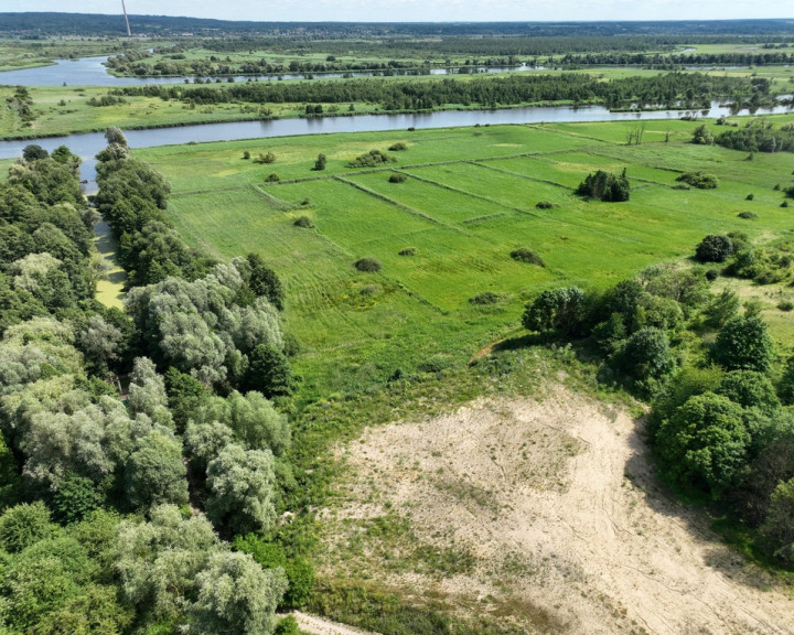 Działka Sprzedaż Kurów