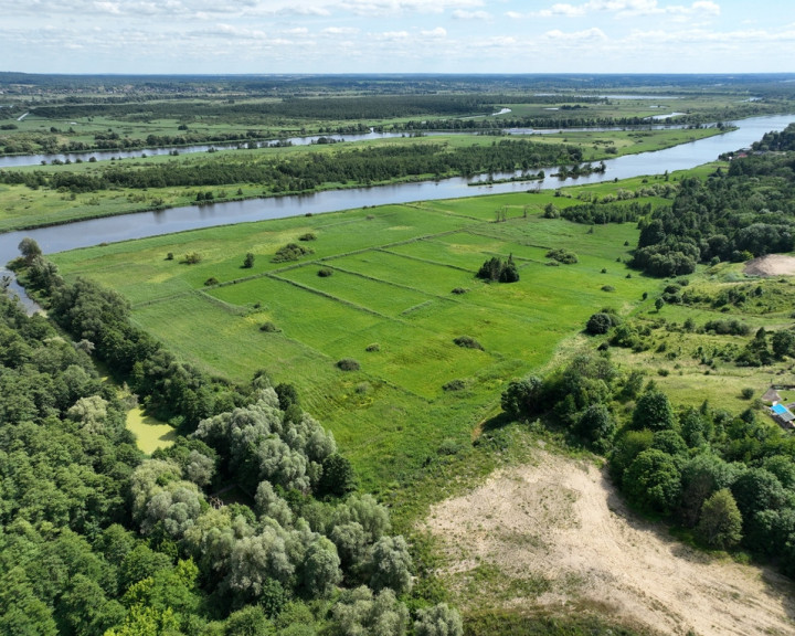 Działka Sprzedaż Kurów