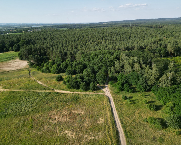 Działka Sprzedaż Daleszewo