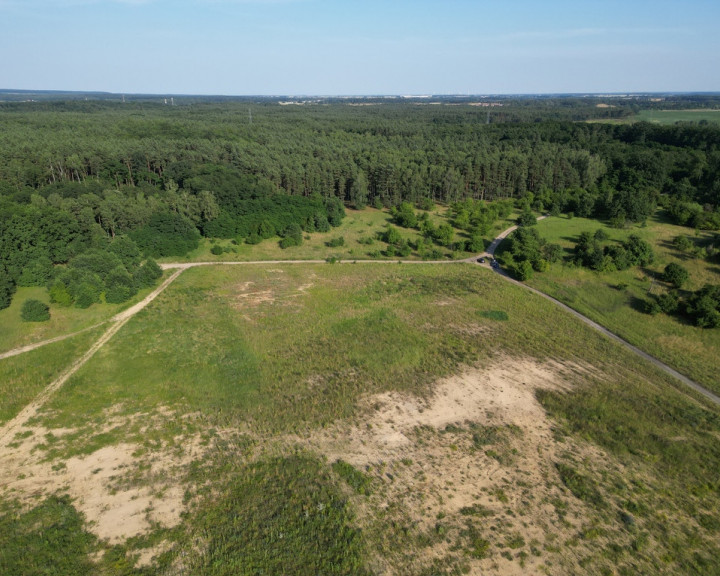 Działka Sprzedaż Daleszewo