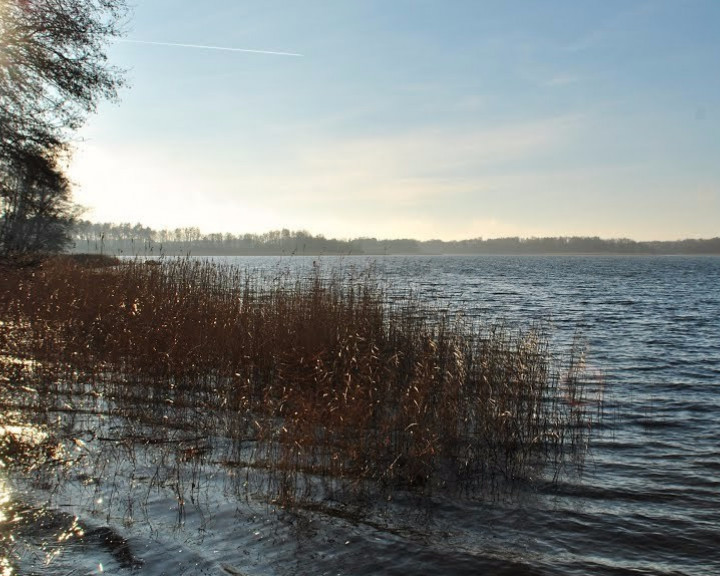 Działka Sprzedaż Wełtyń Wirowska