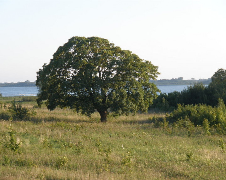 Działka Sprzedaż Kamień Pomorski