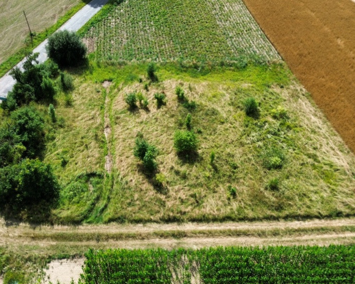 Działka Sprzedaż Nieborowo